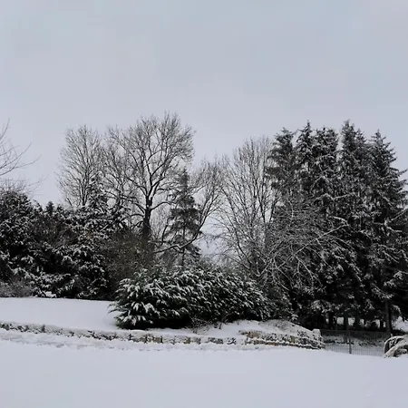 Im Gruenen Ii Appartement