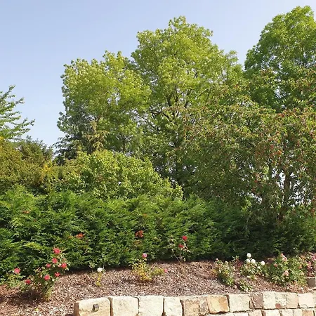 Im Gruenen Ii Appartement *