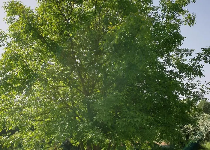 Lägenhet Im Gruenen Ii